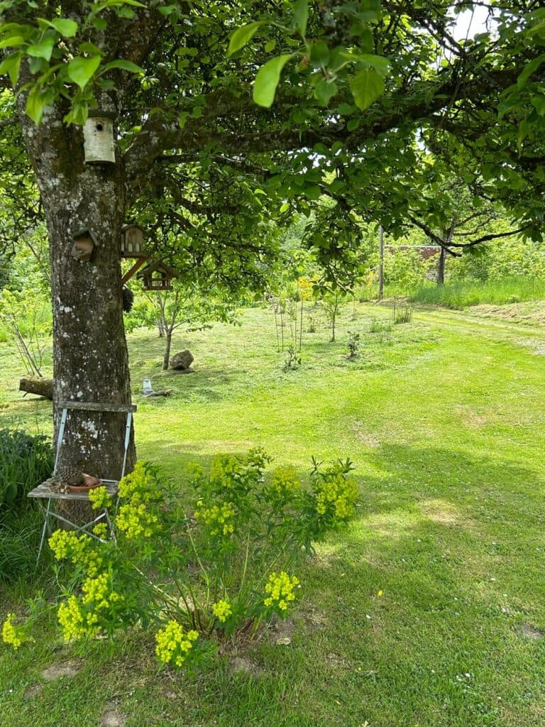 Verger normand et jardin potager à Sourdeval
